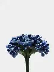 Синий тычинки с сахарными вставками 12 шт