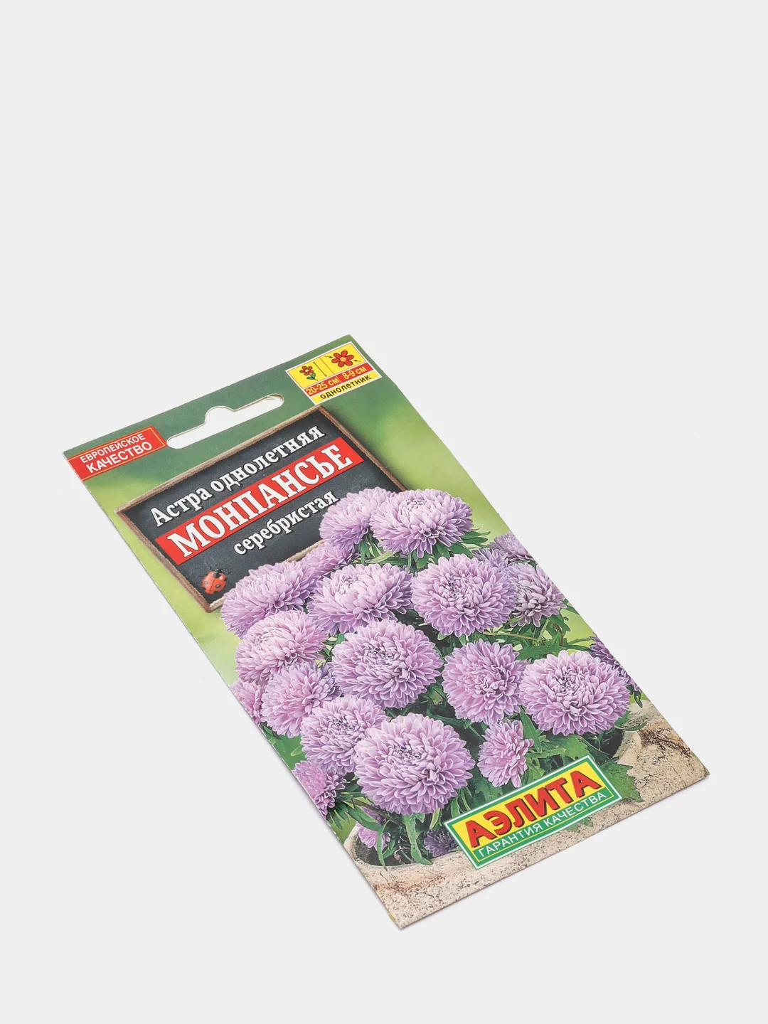 Астра Монпансье серебристая (семена,цветы)