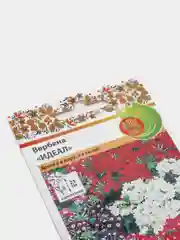 Вербена Идеал (семена,цветы)