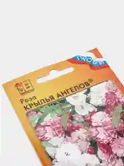 Роза Крылья Ангелов (семена,цветы)