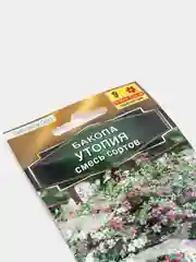 Бакопа Утопия (семена,цветы)