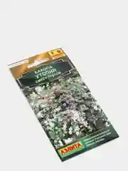 Бакопа Утопия (семена,цветы)