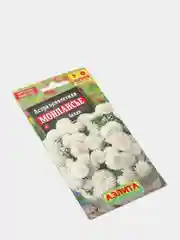 Астра Монпансье белая (семена,цветы)