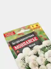 Астра Монпансье белая (семена,цветы)