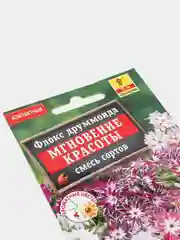Флокс Мгновение красоты, семена, цветы