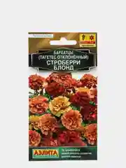 Бархатцы Строберри блонд (семена,цветы)