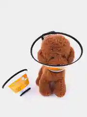 Защитный воротник для кошек и собак, медицинский воротник