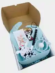 Ледяной подарочный набор для новорожденного