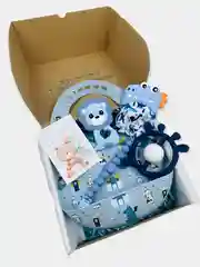 Небесно-голубой подарочный набор для новорожденного