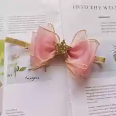 Пудровый повязка на голову для девочек резинка PRINCESS