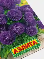Семена цветов Астра "Монпансье темно-голубая"