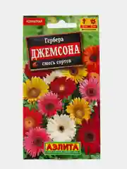 Гербера "Джемсона" семена, цветы