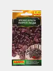Семена ирезине хербста "Пурпл леди"