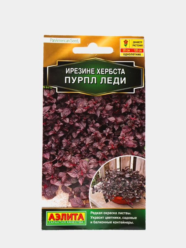 Семена ирезине хербста "Пурпл леди"