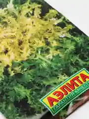 Семена Эндивий "Королевский"