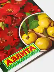 Семена хеномелеса "Домашнее варенье"