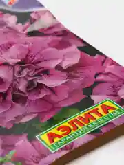 Семена петунии "Пепперминт"