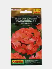 Пеларгония Рафаэлла Персиковая (семена)