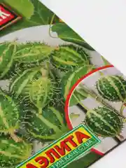 Семена кукумис "Крыжовник"