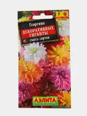 Георгина "Декоративные гиганты" семена, цветы
