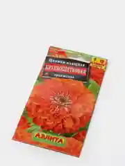 Цинния "Крупноцветковая" оранжевая, семена, цветы