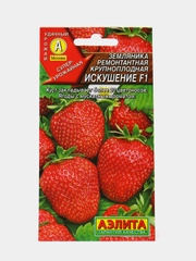 Земляника Искушение ремонтантная крупноплодная (семена)