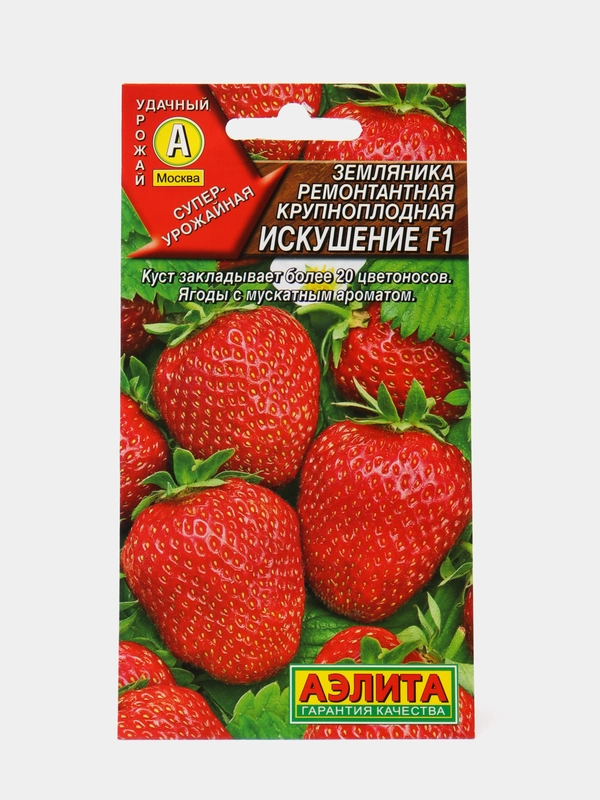 Земляника Искушение ремонтантная крупноплодная (семена)