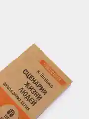 Сценарии жизни людей (#экопокет)