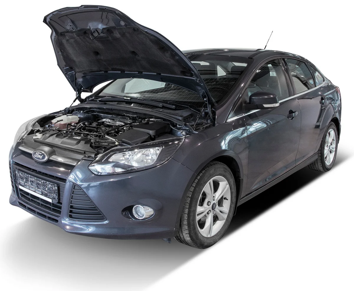 Газовые упоры капота АвтоУпор для Ford Focus III 2011-2019, 2 шт., UFDFOC021
