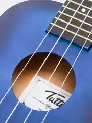 Укулеле концерт Tutti JR-13 BLB