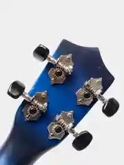 Укулеле концерт Tutti JR-13 BLB