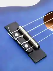 Укулеле концерт Tutti JR-13 BLB