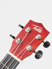 Укулеле концерт Tutti JR-13 CF