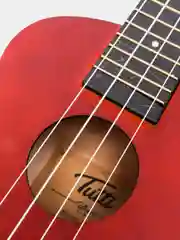 Укулеле концерт Tutti JR-13 CF