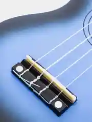 Укулеле сопрано Tutti JR-11 BLB