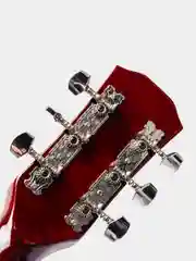 Акустическая гитара Fante FT-D38-N