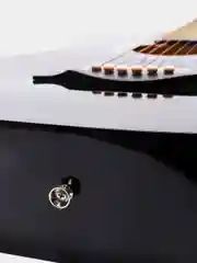 Акустическая гитара Fante FT-R38B-BK