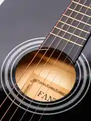 Акустическая гитара Fante FT-R38B-BK
