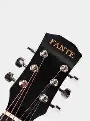 Акустическая гитара Fante FT-R38B-BK