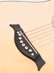 Акустическая гитара Fante FT-R38B-N