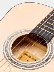 Акустическая гитара Fante FT-R38B-N