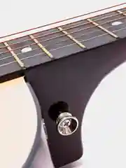 Акустическая гитара Fante FT-R38B-N