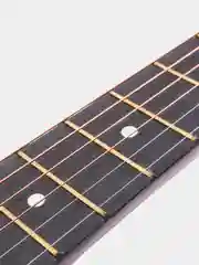 Акустическая гитара Fante FT-R38B-N