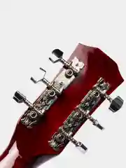 Акустическая гитара Fante FT-R38B-N