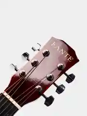 Акустическая гитара Fante FT-R38B-N
