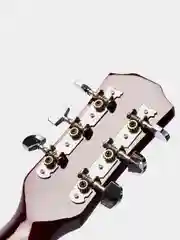 Акустическая гитара Fante FT-D38-3TS