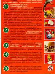 Корм Веселый попугай (Зоомир) отборное зерно для средних попугаев, 450 г