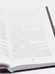 Задача трех тел, Лю Цысинь