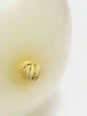 Лимонный воздушные шары металлик разноцветные