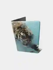 Бирюзовый обложки на паспорт